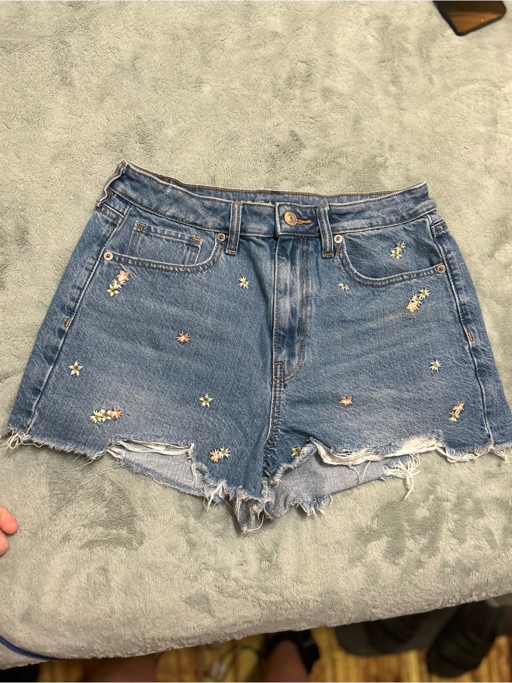 American Eagle Outfitters Embroidered Blue Denim Shorts